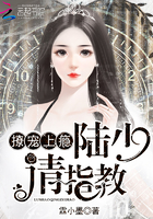 撩宠上瘾:陆少,请指教