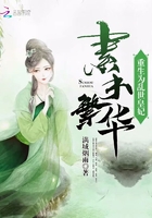 重生为乱世皇妃:素手繁华