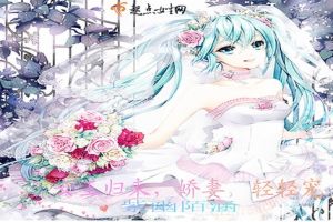 女王归来,娇妻,轻轻宠