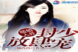 暖婚入骨:封少放肆宠