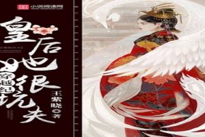 穿越纪:皇后她很坑夫