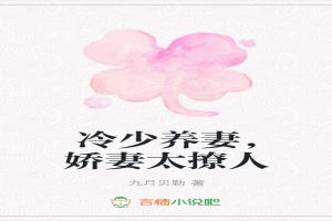 冷少养妻,娇妻太撩人