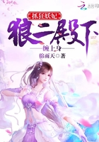 抓狂妖妃:狼二殿下缠上身