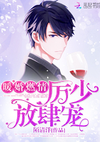 暖婚燃情:厉少,放肆宠