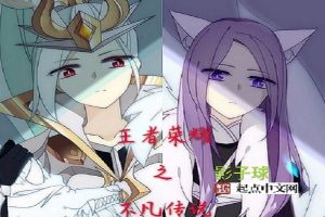 王者荣耀之不凡传说
