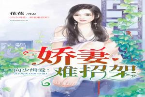 向少缉爱:娇妻难招架