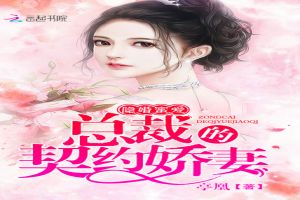 隐婚蜜爱:总裁的契约娇妻