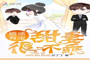 婚途有宝:甜妻,很不乖