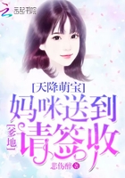 天降萌宝:爹地,妈咪送到请签收