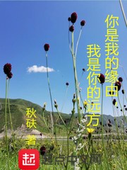 你是我的缘由,我是你的远方