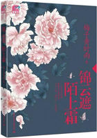 铭心刻骨:傅少的心上佳人