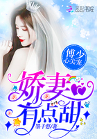 傅少心尖宠:娇妻,有点甜!(星河迢迢只见你)