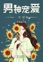 男神宠爱,一世蜜婚