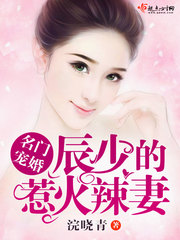 名门宠婚:辰少的惹火辣妻(良辰美妻)