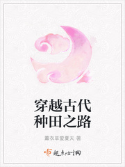 穿越古代种田之路