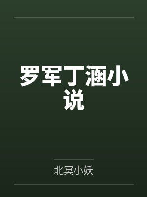 罗军丁涵小说
