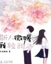 斯人微暖我轻甜小说的简介