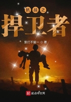 抗战之捍卫者 歪打不留一