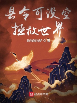 县令可没空拯救世界 九思94