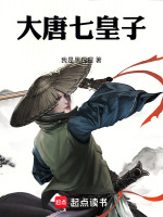 大唐七皇子