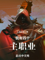 我有四个主职业的小说