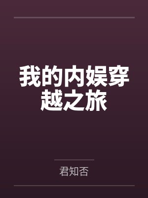 我的内娱穿越之旅小说