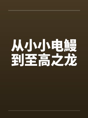 从小小电鰻到至高之龙