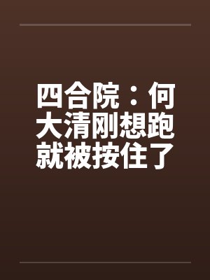 四合院：何大清刚想跑就被按住了