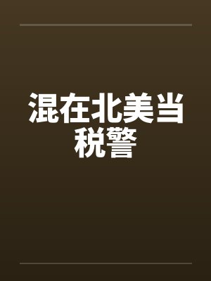 混在北美当税警