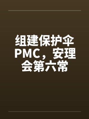 组建保护伞PMC，安理会第六常
