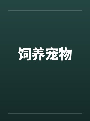 饲养宠物