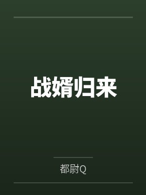 战婿归来