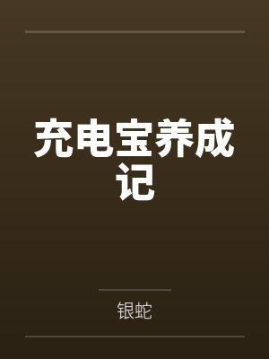 充电宝养成记
