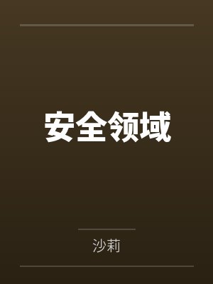 安全领域