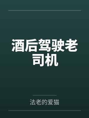 酒后驾驶老司机