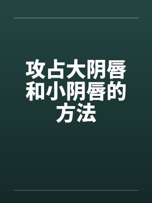 攻占大阴唇和小阴唇的方法
