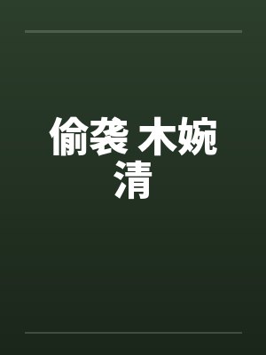 偷袭 木婉清