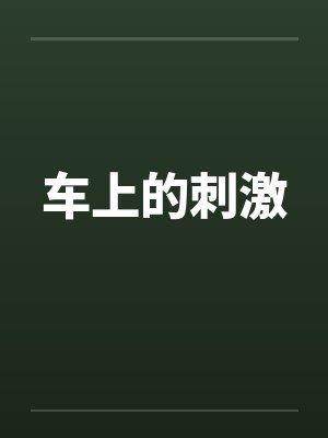 车上的刺激