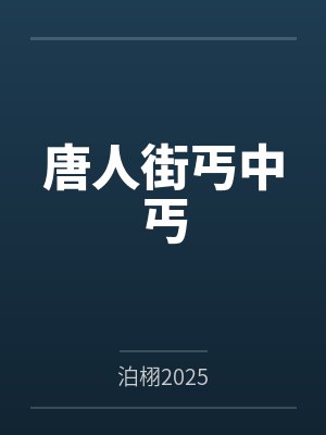 唐人街丐中丐