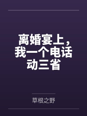 离婚宴上,我一个电话动三省
